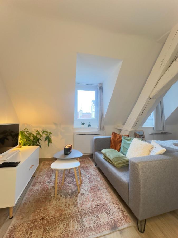 Le Charme Dubois Apartment Dijon Luaran gambar