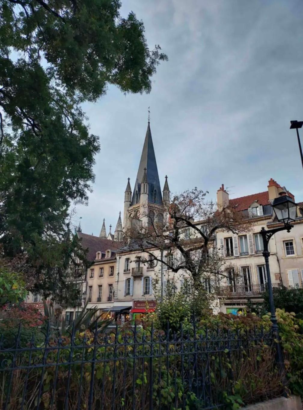Le Charme Dubois Apartment Dijon Luaran gambar
